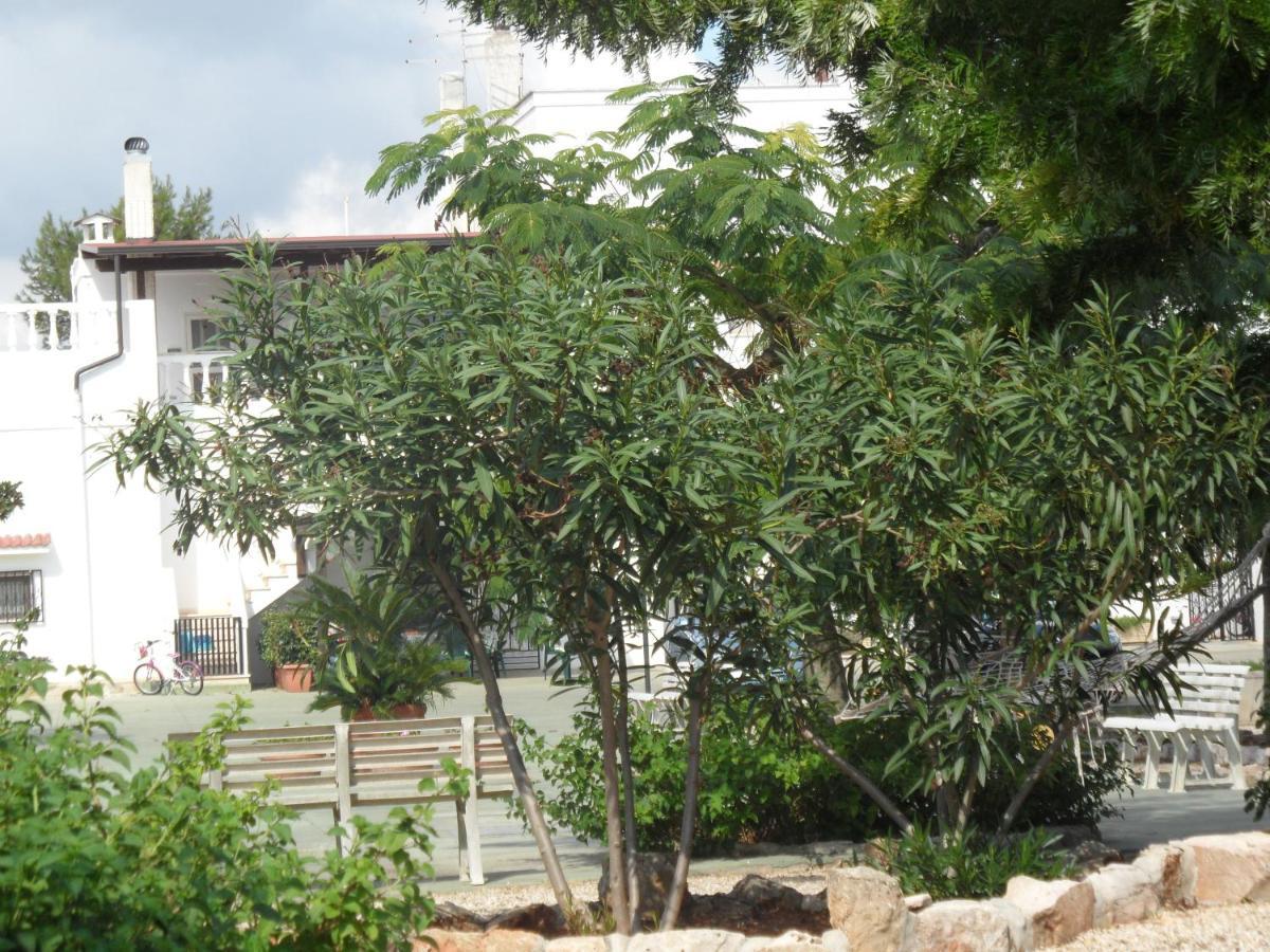 Azienda Agrituristica Masseria Campi Сан-Вито-деи- Норманни Экстерьер фото