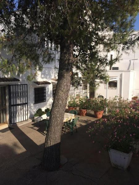 Azienda Agrituristica Masseria Campi Сан-Вито-деи- Норманни Экстерьер фото